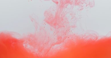 Razvodnjavanje permakulture: od dizajnerske znanosti do vrtlarskog trenda Razvodnjavanje permakulture: od dizajnerske znanosti do vrtlarskog trenda