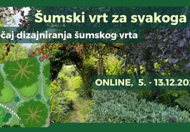 Šumski vrt za svakoga – online tečaj dizajniranja šumskog vrta slike sumskog vrta