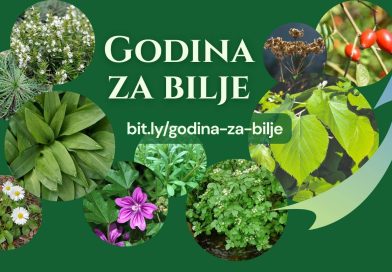 Godina za bilje Slike raznog samoniklog bilja uz natpis "Godina za bilje" i link za prijavu