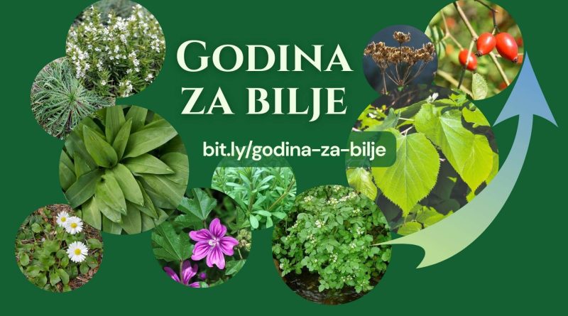 Godina za bilje Slike raznog samoniklog bilja uz natpis "Godina za bilje" i link za prijavu