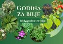 Slike raznog samoniklog bilja uz natpis "Godina za bilje" i link za prijavu