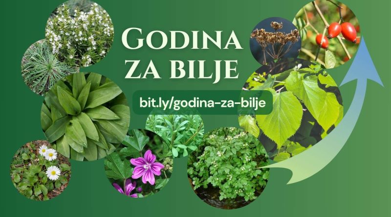 Slike raznog samoniklog bilja uz natpis "Godina za bilje" i link za prijavu