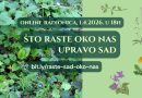 Što raste oko nas upravo sad – online radionica Slike raznih proljetnih samoniklih biljaka, naslov "Što raste oko nas upravo sad" i link za prijavu