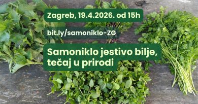 Proljetni tečaj prepoznavanja samoniklog jestivog bilja u prirodi – Zagreb prikupljeno samoniklo bilje na nekoliko hrpica, tekst "Samoniklo jestivo bilje, tečaj u prirodi", Zagreb 19.4.2026. od 15h