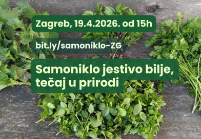 Proljetni tečaj prepoznavanja samoniklog jestivog bilja u prirodi – Zagreb prikupljeno samoniklo bilje na nekoliko hrpica, tekst "Samoniklo jestivo bilje, tečaj u prirodi", Zagreb 19.4.2026. od 15h