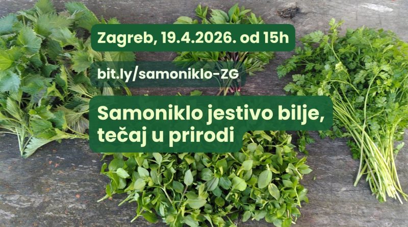 Proljetni tečaj prepoznavanja samoniklog jestivog bilja u prirodi – Zagreb prikupljeno samoniklo bilje na nekoliko hrpica, tekst "Samoniklo jestivo bilje, tečaj u prirodi", Zagreb 19.4.2026. od 15h