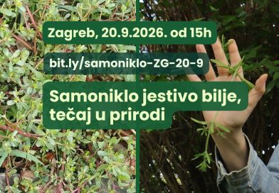 Jesenski tečaj prepoznavanja samoniklog jestivog bilja u prirodi – Zagreb Jesenski tečaj prepoznavanja samoniklog jestivog bilja u prirodi – Zagreb